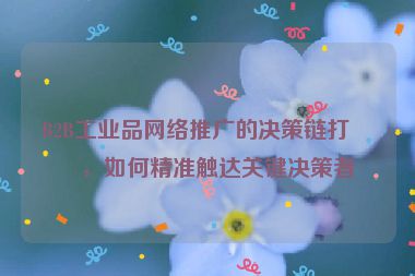 B2B工業(yè)品網(wǎng)絡(luò)推廣的決策鏈打法，如何精準(zhǔn)觸達(dá)關(guān)鍵決策者