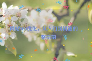 網(wǎng)站SEO優(yōu)化，從入門到精通的完整指南