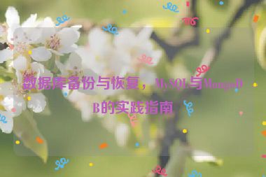 數(shù)據(jù)庫備份與恢復(fù)，MySQL與MongoDB的實踐指南