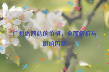 廣州做網(wǎng)站的價格，全面解析與影響因素