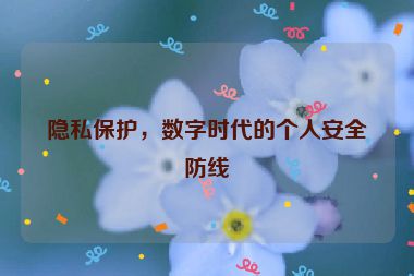 隱私保護，數(shù)字時代的個人安全防線