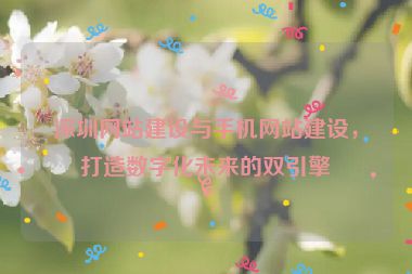 深圳網(wǎng)站建設(shè)與手機(jī)網(wǎng)站建設(shè)，打造數(shù)字化未來的雙引擎