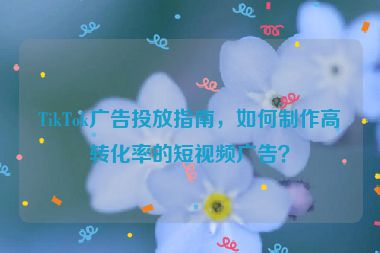 TikTok廣告投放指南，如何制作高轉(zhuǎn)化率的短視頻廣告？