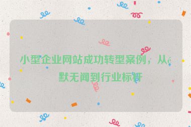 小型企業(yè)網(wǎng)站成功轉(zhuǎn)型案例，從默默無聞到行業(yè)標(biāo)桿
