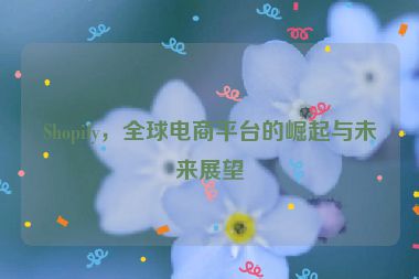 Shopify，全球電商平臺(tái)的崛起與未來展望