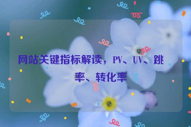 網站關鍵指標解讀，PV、UV、跳出率、轉化率
