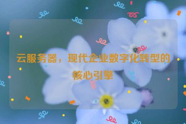 云服務(wù)器，現(xiàn)代企業(yè)數(shù)字化轉(zhuǎn)型的核心引擎