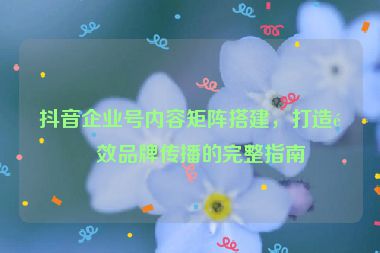 抖音企業(yè)號(hào)內(nèi)容矩陣搭建，打造高效品牌傳播的完整指南