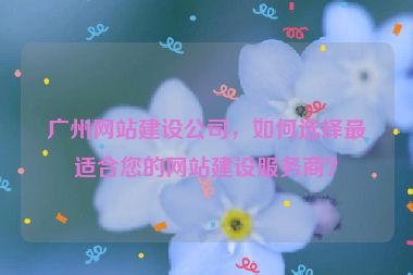 廣州網(wǎng)站建設(shè)公司，如何選擇最適合您的網(wǎng)站建設(shè)服務(wù)商？