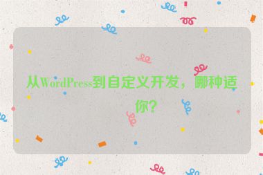 從WordPress到自定義開發(fā)，哪種適合你？