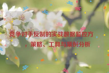 競爭對手反制的實戰(zhàn)數(shù)據(jù)監(jiān)控方案，策略、工具與案例分析