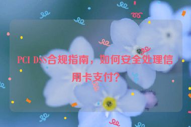 PCI DSS合規(guī)指南，如何安全處理信用卡支付？