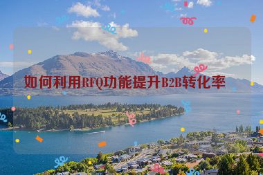 如何利用RFQ功能提升B2B轉(zhuǎn)化率？
