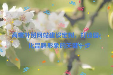 高端外貿(mào)網(wǎng)站建設(shè)定制，打造國際化品牌形象的關(guān)鍵一步