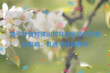 量子計(jì)算對(duì)佛山網(wǎng)站加密技術(shù)的潛在影響，機(jī)遇與挑戰(zhàn)并存