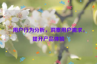 用戶行為分析，洞察用戶需求，提升產(chǎn)品體驗(yàn)