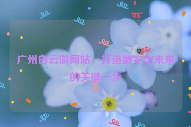廣州白云做網(wǎng)站，打造數(shù)字化未來的關鍵一步