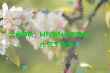 全面解析，網(wǎng)站版權(quán)保護(hù)措施（圖片/文字/視頻）