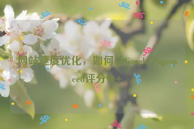 網(wǎng)站速度優(yōu)化，如何讓Google Pagespeed評分90+