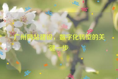 廣州網(wǎng)站建設，數(shù)字化轉型的關鍵一步