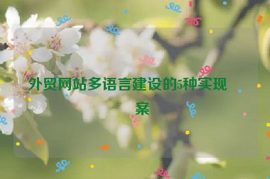 外貿(mào)網(wǎng)站多語(yǔ)言建設(shè)的5種實(shí)現(xiàn)方案