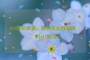 SEO優(yōu)化必備，如何優(yōu)化網(wǎng)站圖片的ALT標(biāo)簽？