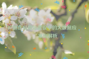 廣州企業(yè)網(wǎng)站建設(shè)中的大數(shù)據(jù)應(yīng)用案例解析