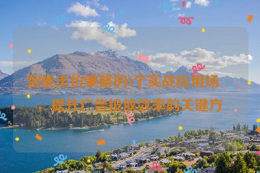 智能出價(jià)策略的5個(gè)實(shí)戰(zhàn)應(yīng)用場(chǎng)景，提升廣告投放效率的關(guān)鍵方法