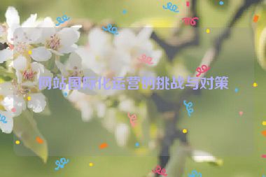 網(wǎng)站國際化運營的挑戰(zhàn)與對策