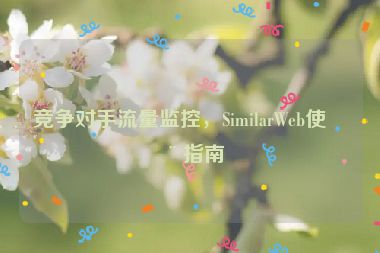競爭對手流量監(jiān)控，SimilarWeb使用指南