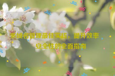 多域名管理最佳實(shí)踐，提升效率與安全性的全面指南