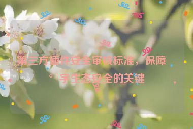 第三方插件安全審核標準，保障數(shù)字生態(tài)安全的關鍵