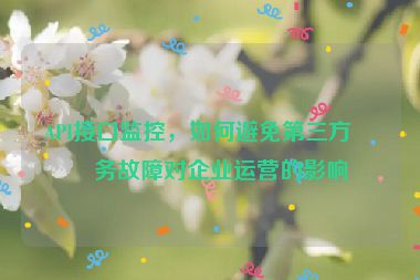 API接口監(jiān)控，如何避免第三方服務(wù)故障對(duì)企業(yè)運(yùn)營(yíng)的影響