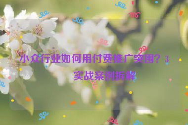 小眾行業(yè)如何用付費推廣突圍？3個實戰(zhàn)案例拆解