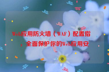 Web應(yīng)用防火墻（WAF）配置指南，全面保護你的Web應(yīng)用安全