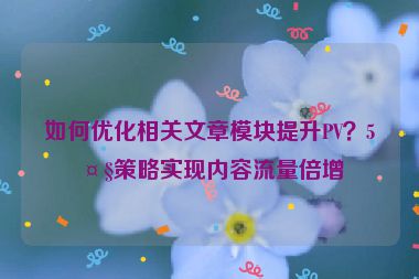 如何優(yōu)化相關(guān)文章模塊提升PV？5大策略實(shí)現(xiàn)內(nèi)容流量倍增
