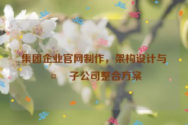 集團(tuán)企業(yè)官網(wǎng)制作，架構(gòu)設(shè)計(jì)與多子公司整合方案