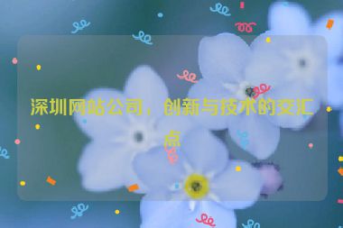 深圳網(wǎng)站公司，創(chuàng)新與技術(shù)的交匯點