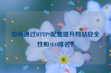如何通過(guò)HTTPS配置提升網(wǎng)站安全性和SEO排名？
