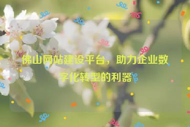 佛山網(wǎng)站建設(shè)平臺(tái)，助力企業(yè)數(shù)字化轉(zhuǎn)型的利器