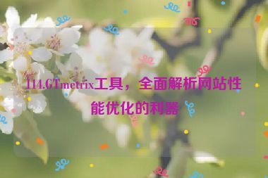 114.GTmetrix工具，全面解析網(wǎng)站性能優(yōu)化的利器