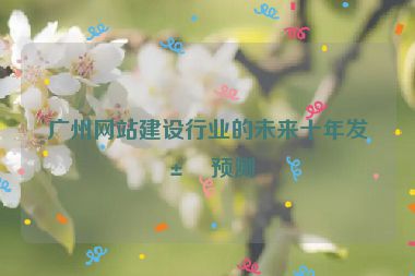 廣州網(wǎng)站建設(shè)行業(yè)的未來十年發(fā)展預(yù)測