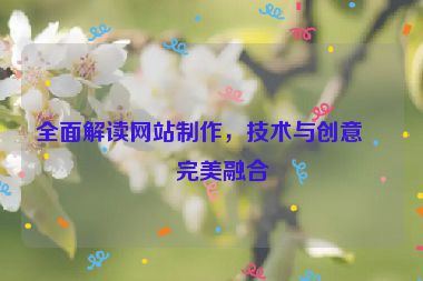 全面解讀網(wǎng)站制作，技術(shù)與創(chuàng)意的完美融合