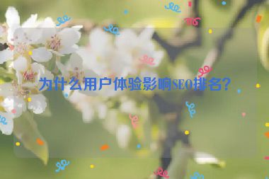 為什么用戶體驗(yàn)影響SEO排名？