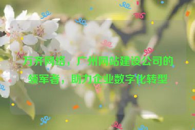 萬齊網(wǎng)絡(luò)，廣州網(wǎng)站建設(shè)公司的領(lǐng)軍者，助力企業(yè)數(shù)字化轉(zhuǎn)型