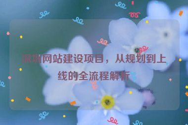 深圳網(wǎng)站建設(shè)項(xiàng)目，從規(guī)劃到上線的全流程解析
