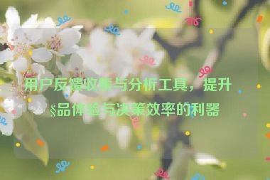 用戶(hù)反饋收集與分析工具，提升產(chǎn)品體驗(yàn)與決策效率的利器
