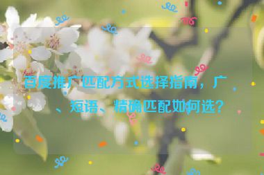 百度推廣匹配方式選擇指南，廣泛、短語、精確匹配如何選？