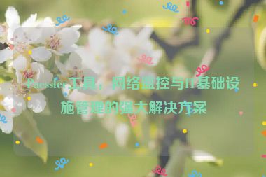 Paessler工具，網(wǎng)絡監(jiān)控與IT基礎設施管理的強大解決方案