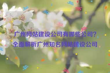 廣州網(wǎng)站建設(shè)公司有哪些公司？全面解析廣州知名網(wǎng)站建設(shè)公司